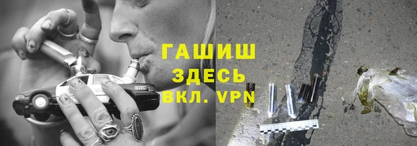 гидра Вяземский