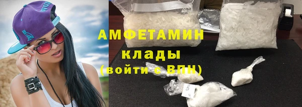 гидра Вяземский