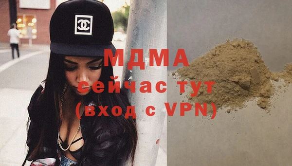 гидра Вяземский