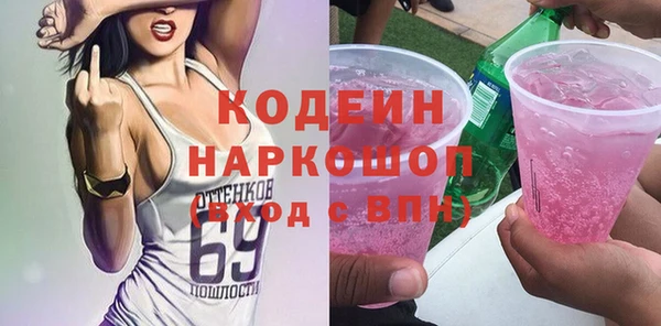 гидра Вяземский