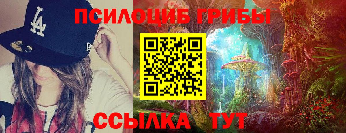 Галлюциногенные грибы ЛСД  Вход с VPN  Москва  Галлюциногенные грибы Psilocybe 
