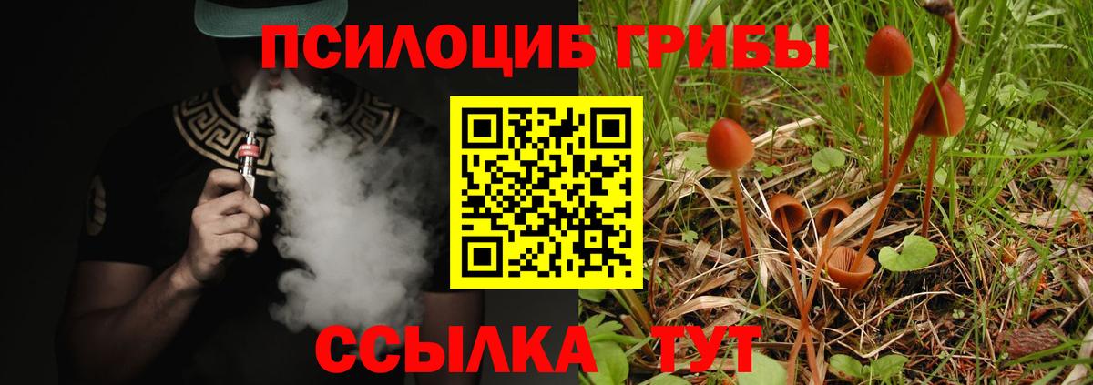 Галлюциногенные грибы мухоморы Москва